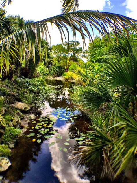 Mounts botanical - A 14-acre tropical oasis in the heart of the Palm Beaches. 531 N Military Trl, West Palm Beach, FL, US 33415